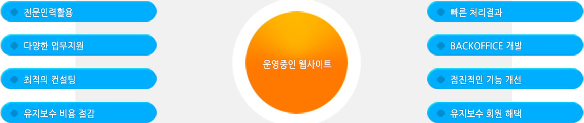 전문 유지보수를 이용하시면 이러한 점이 좋습니다.